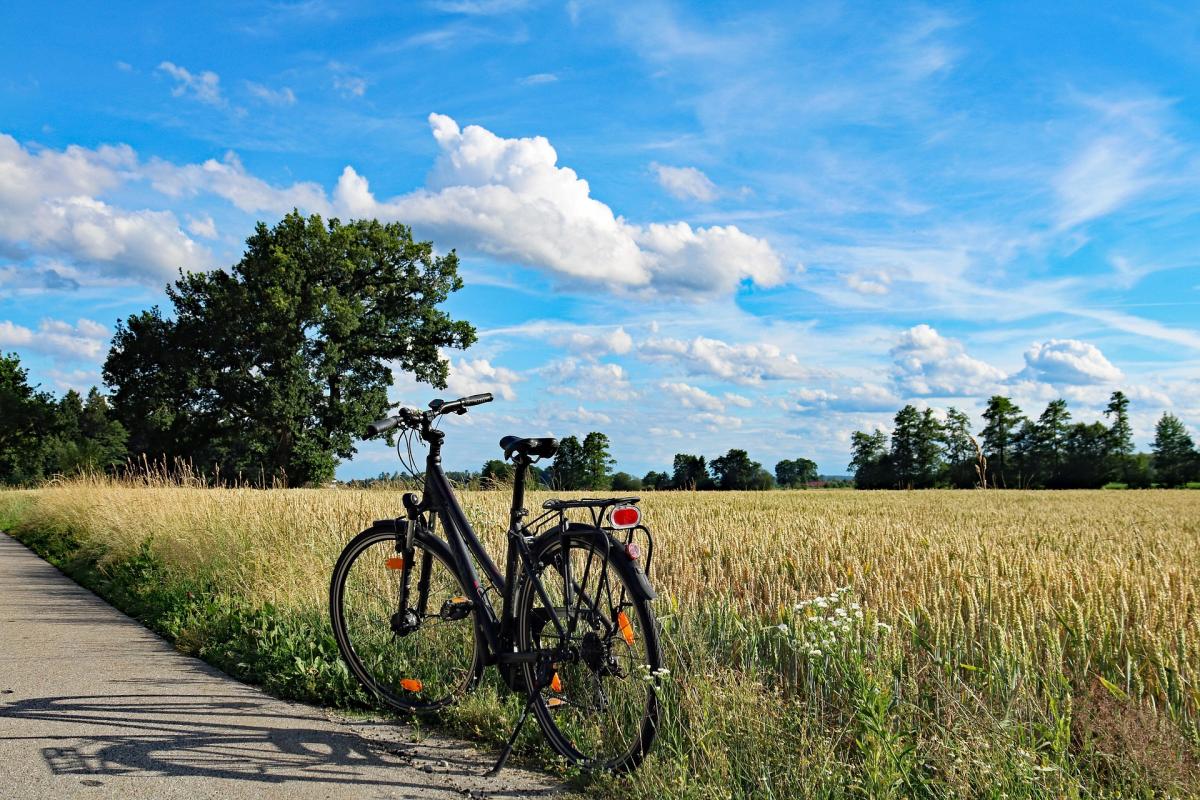 Fahrrad am Feldrand