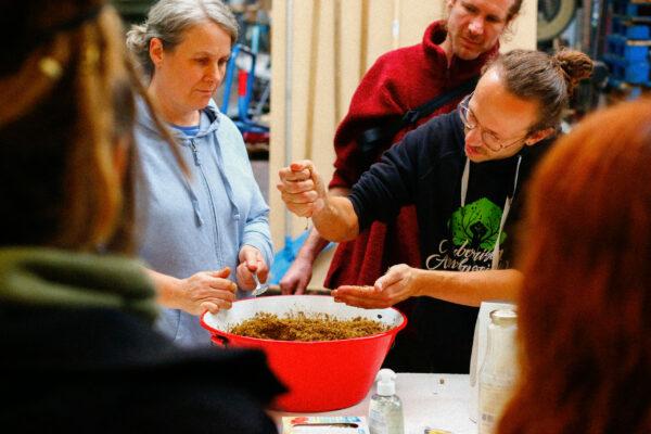 Menschen an einem Behälter mit Pilzsubstrat