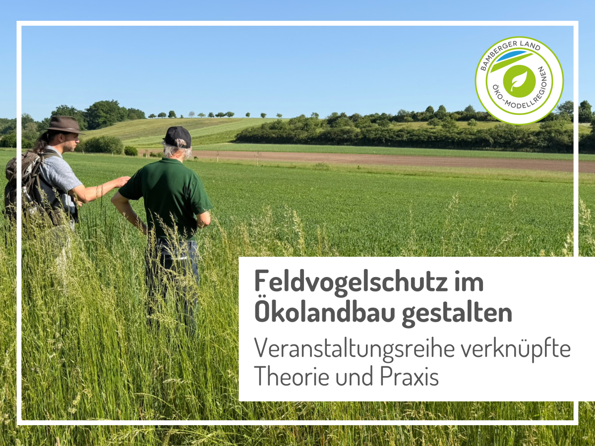 Dr. André Maslo (li.) und Hans Jürgen Mohl (Biolandhof Mohl, Frensdorf) bei der Exkursion am Feldrand