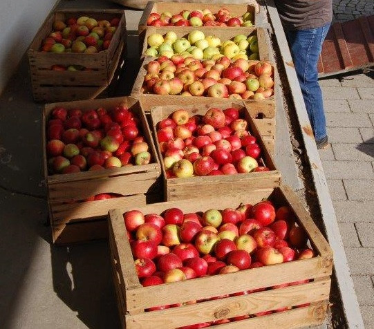 Äpfel in Holzkisten