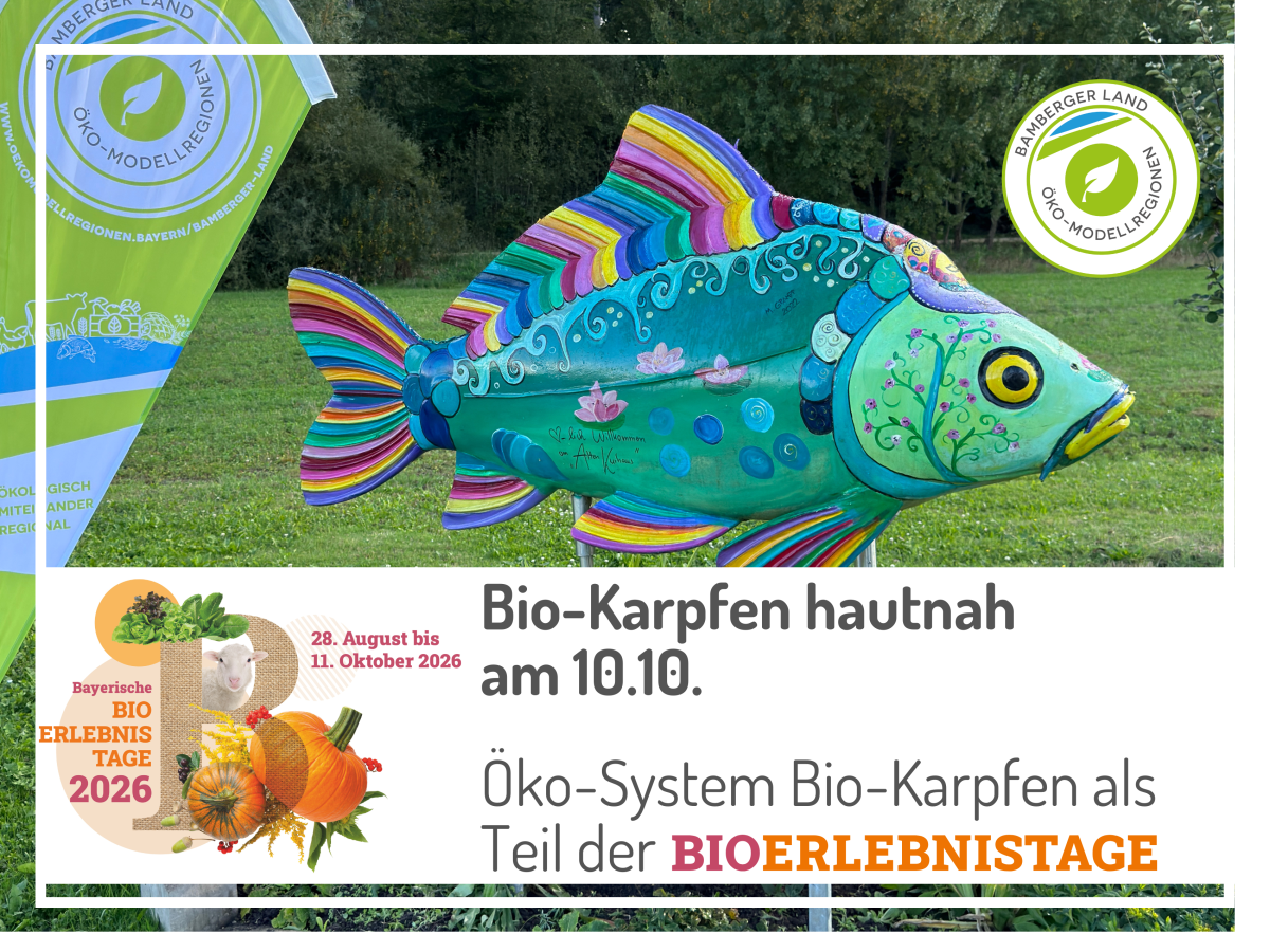 bunte Karpfenskulptur