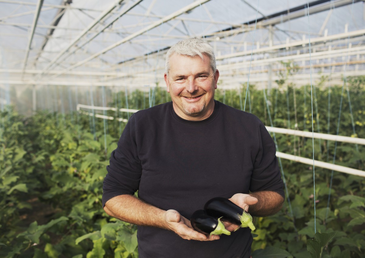 Landwirt hält zwei Aubergine in der Hand.