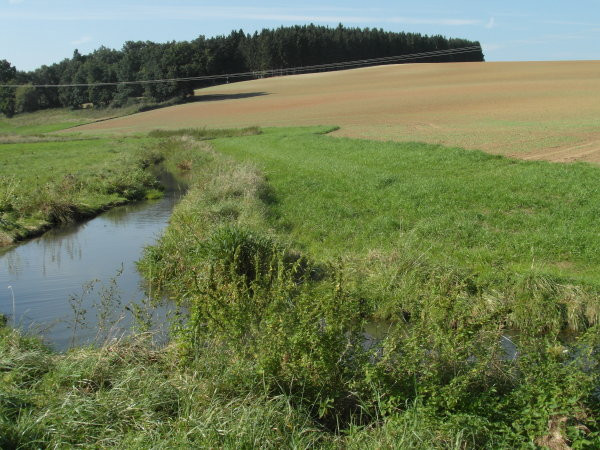 Wasser ist eine Frucht des Bodens - und stark gefährdet!