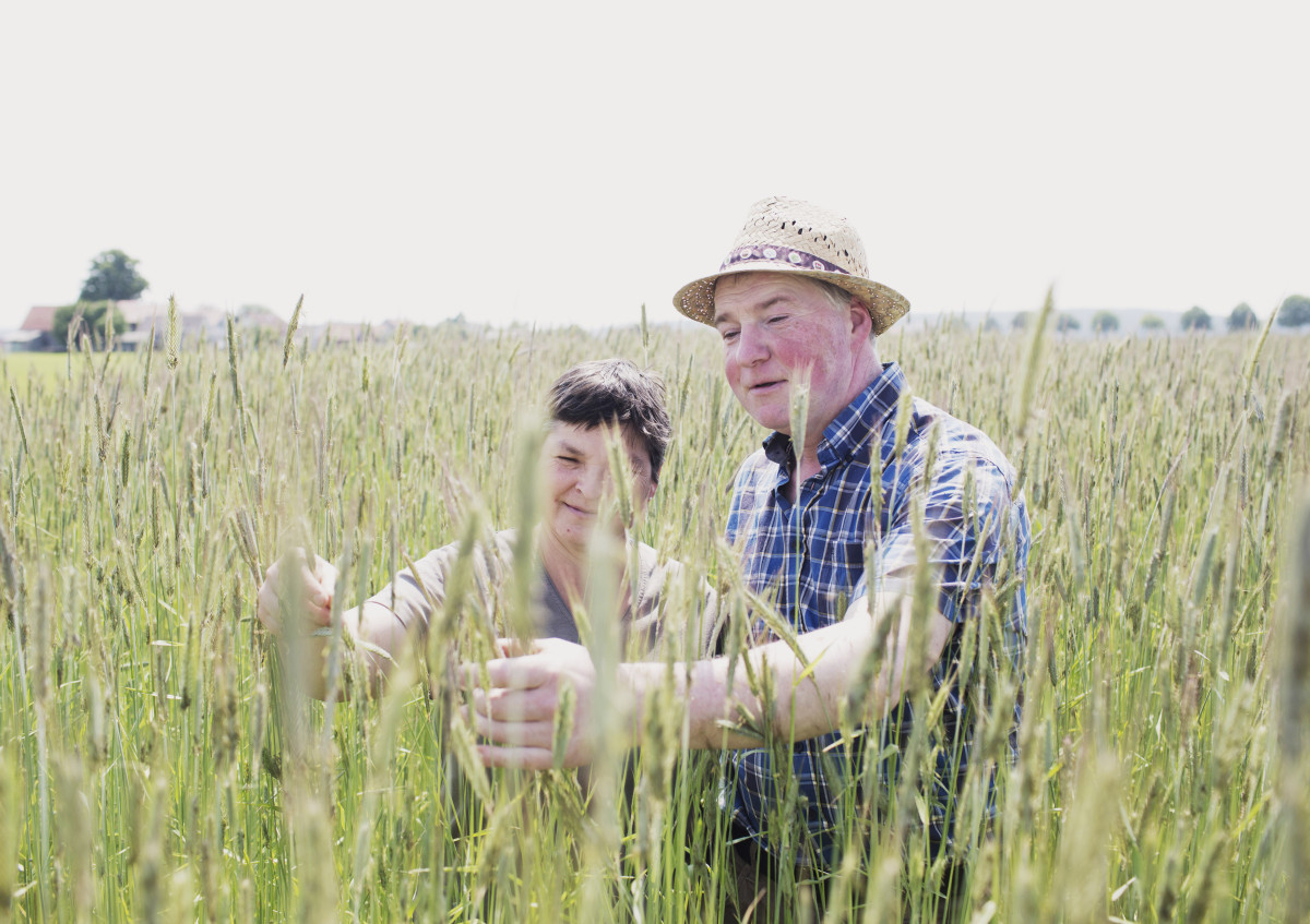 Ökologische Pflanzenbausysteme, Humusaufbau aber auch Anbau von Lupinen sind Theme der Online-Seminarreihe Landwirtschaft & Nachhaltigkeit" vom 28. - 31. März 2022.