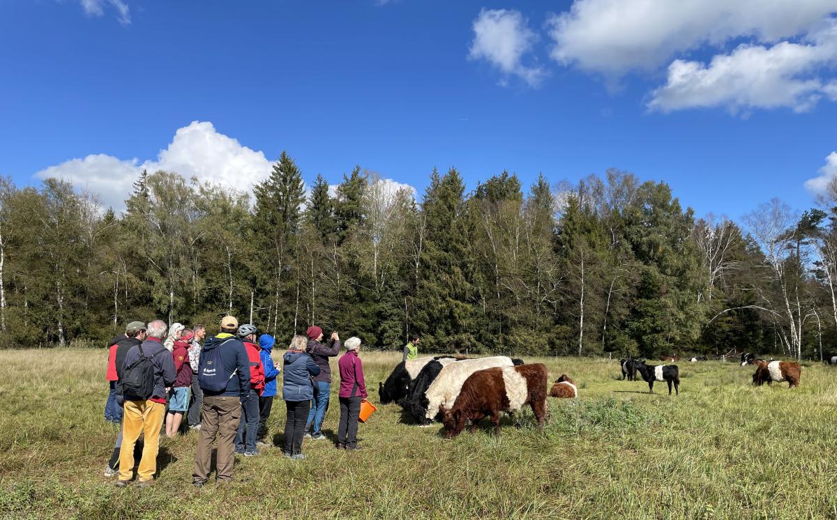 Die Hofradltour im Brucker Moos