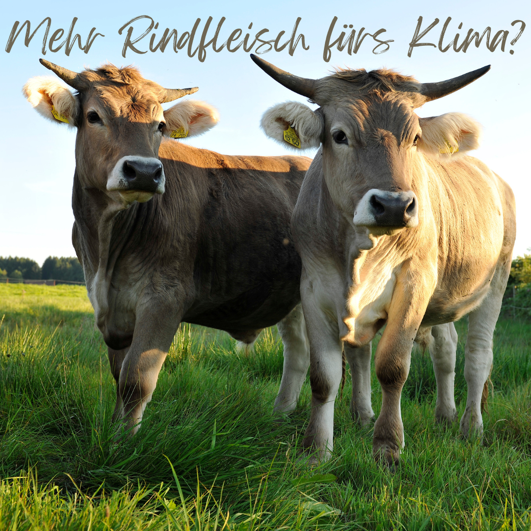 Vortrag & Dinner: Mehr Rindfleisch fürs Klima?