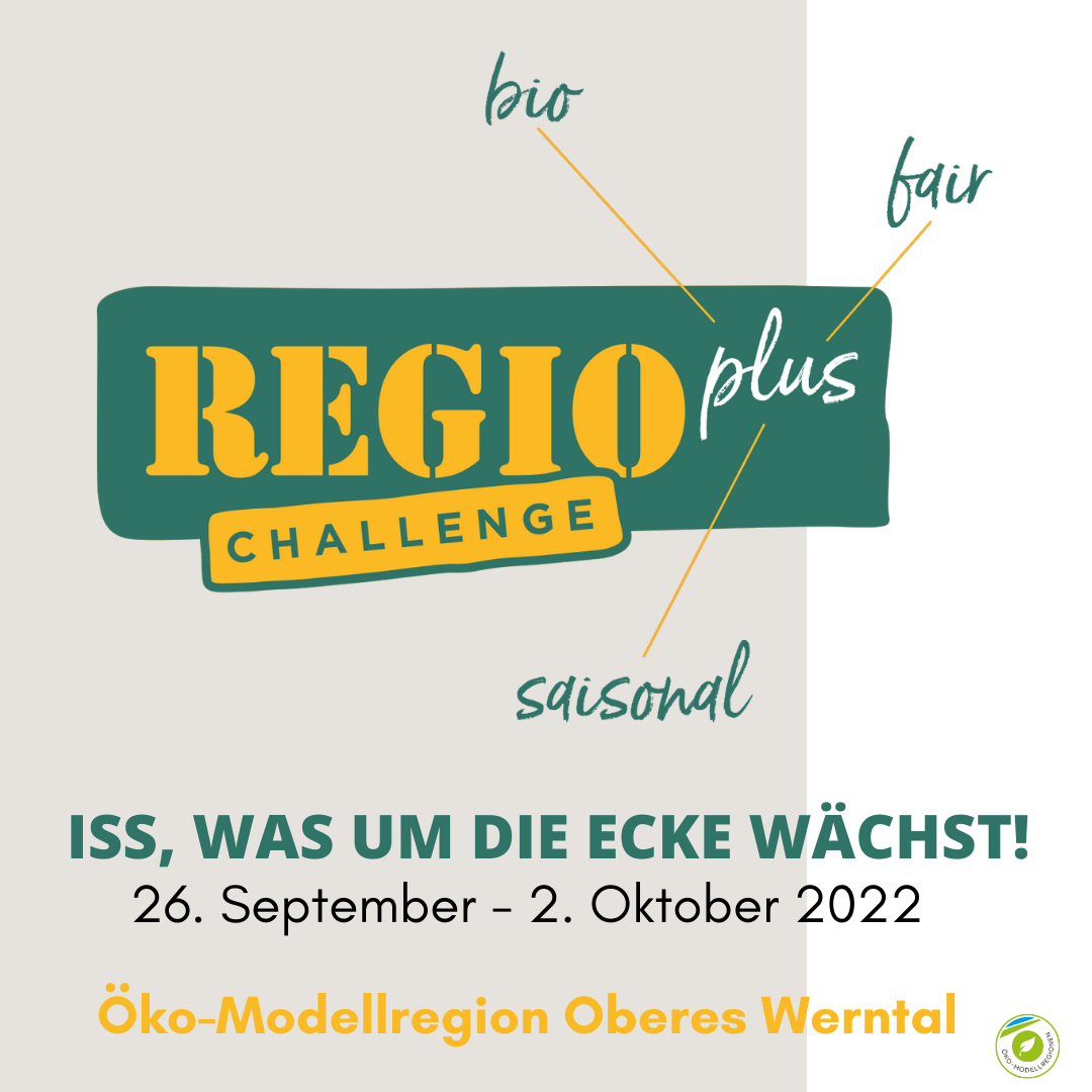 Flyer Regiopluschallenge