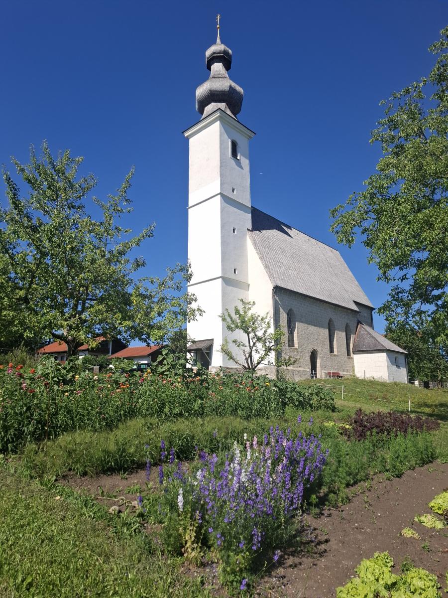 Das Schnitblumenfeld vor der Kirche in Tettelham