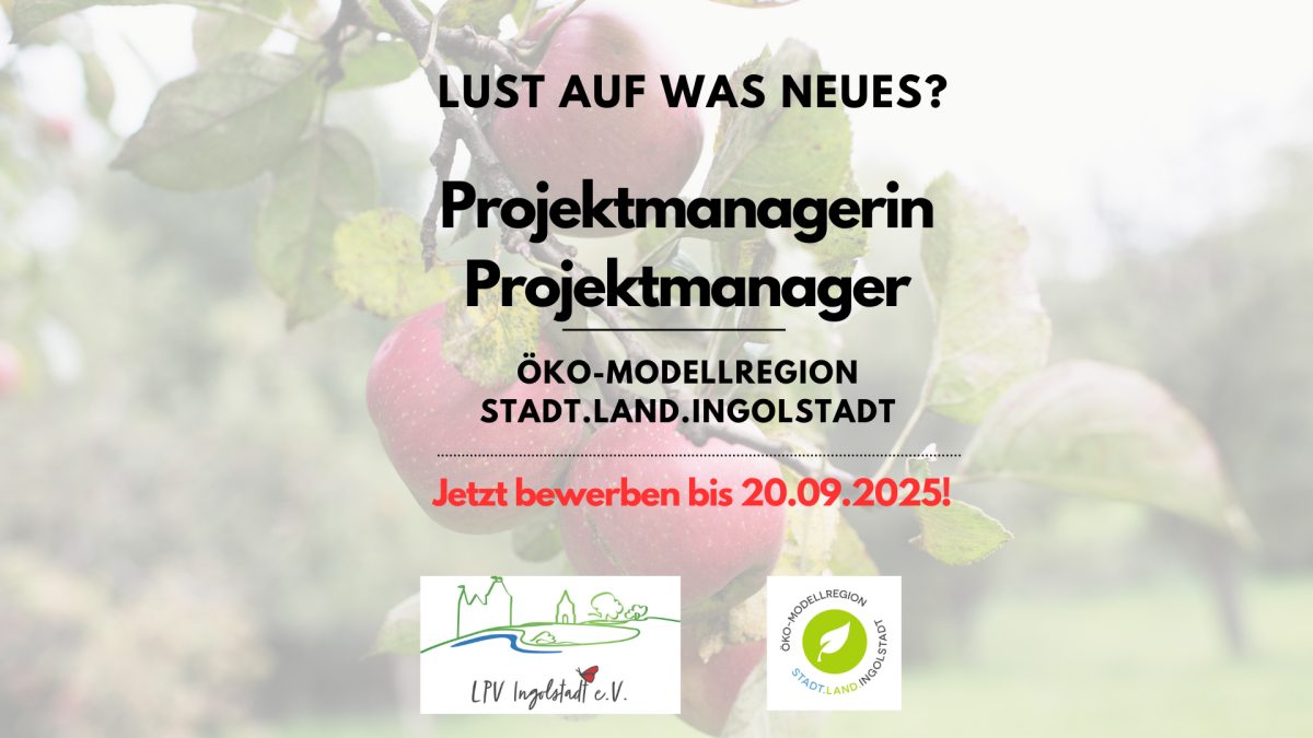 Stellenausschreibung Projektmitarbeiter