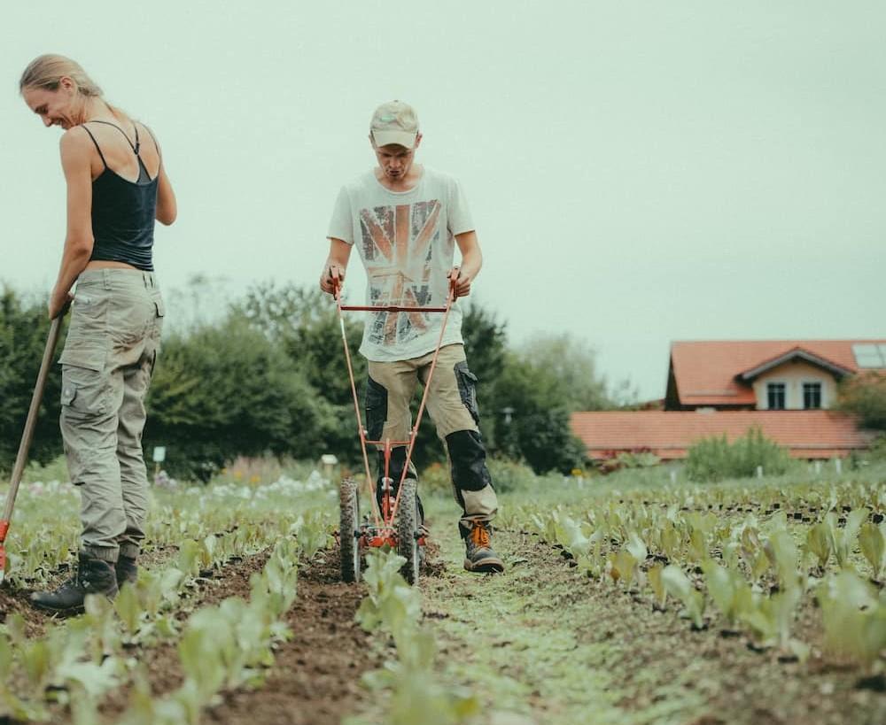 Zwei Menschen auf Acker