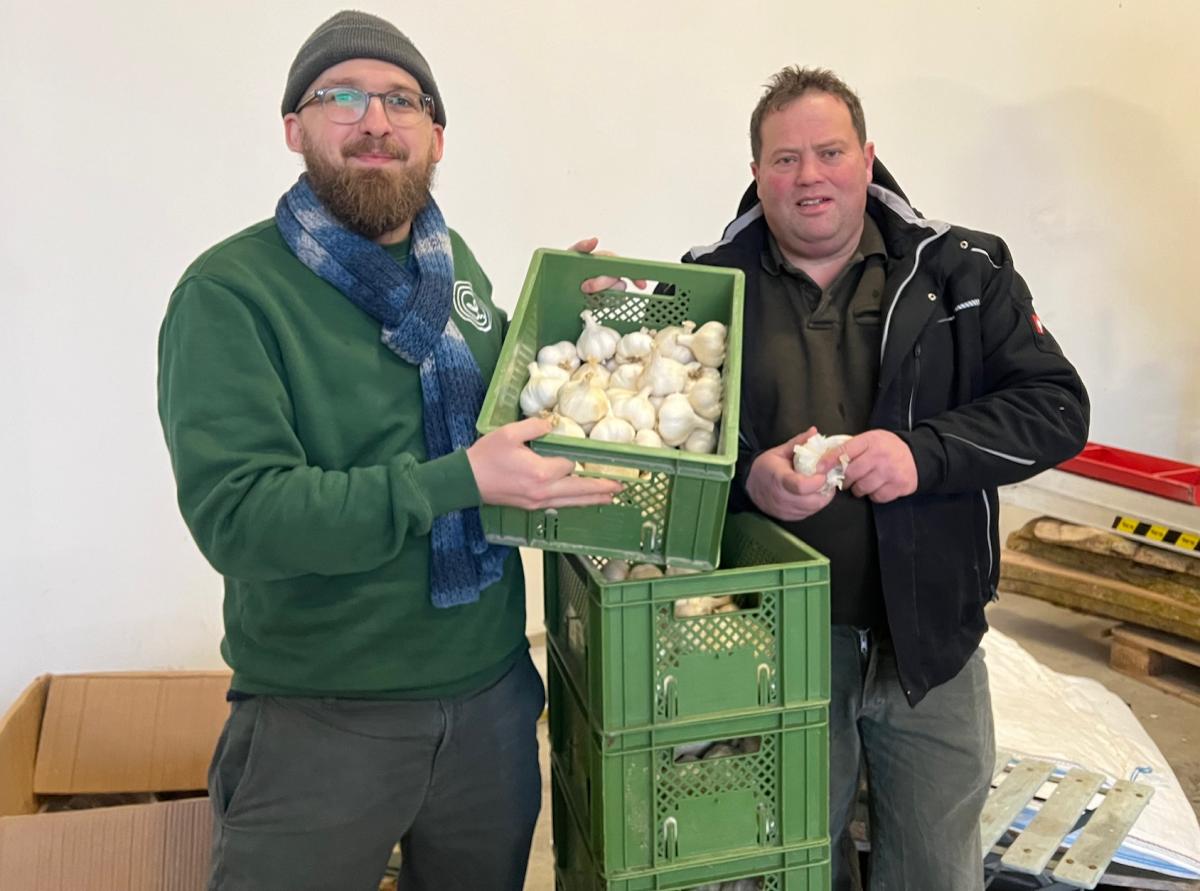 Daniel Schmuck von der Erdbar Biokiste holt den ersten Knoblauch bei Georg Liebhard ab
