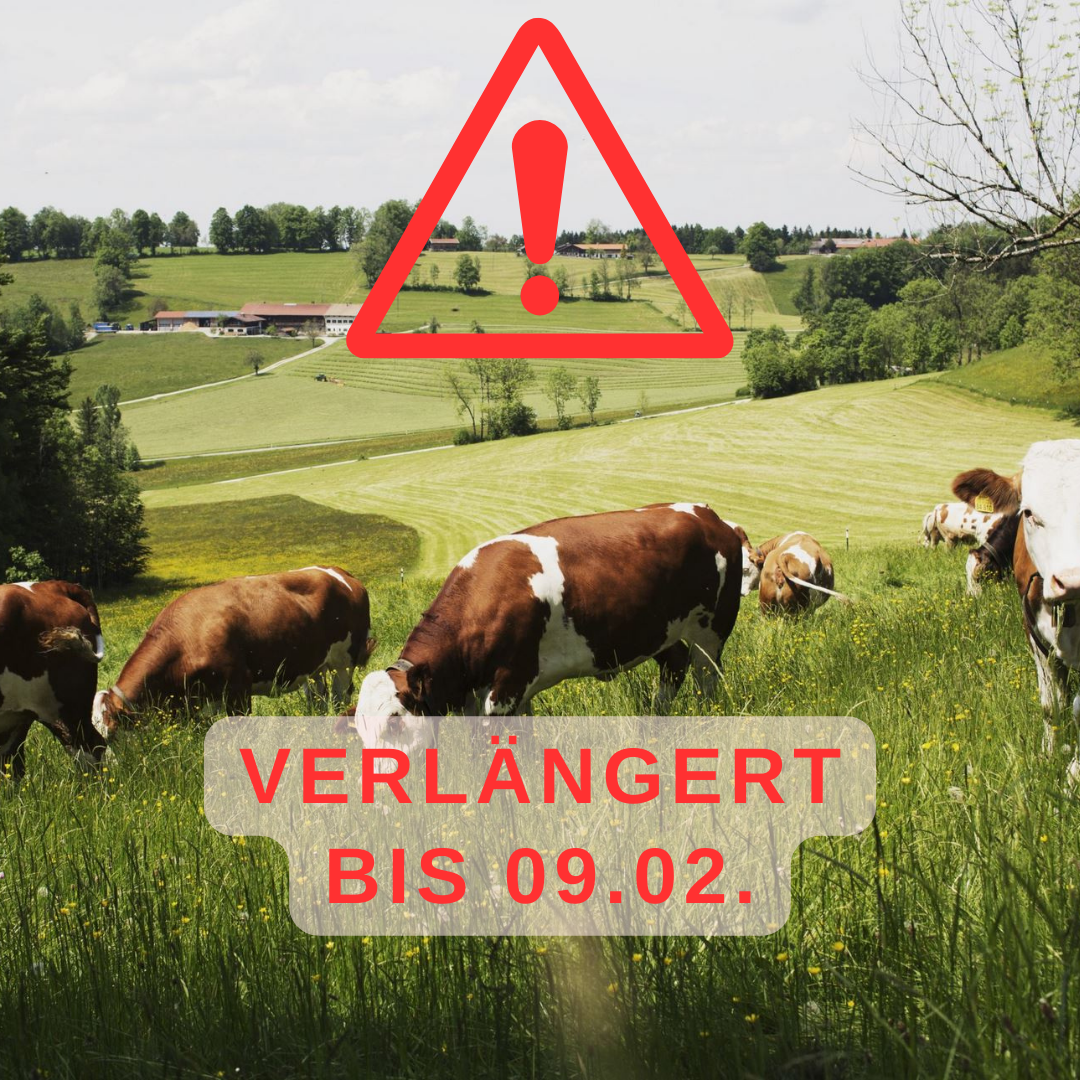 Kühe auf der Weide, darüber liegt roter Text mit der Aufschrift "Verlängert bis 09.02."