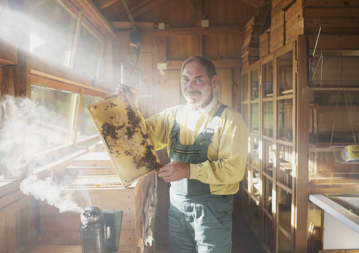 Anton Herzing steht im Bienenstock