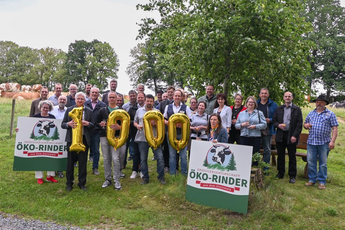 Bio-Rindfleisch