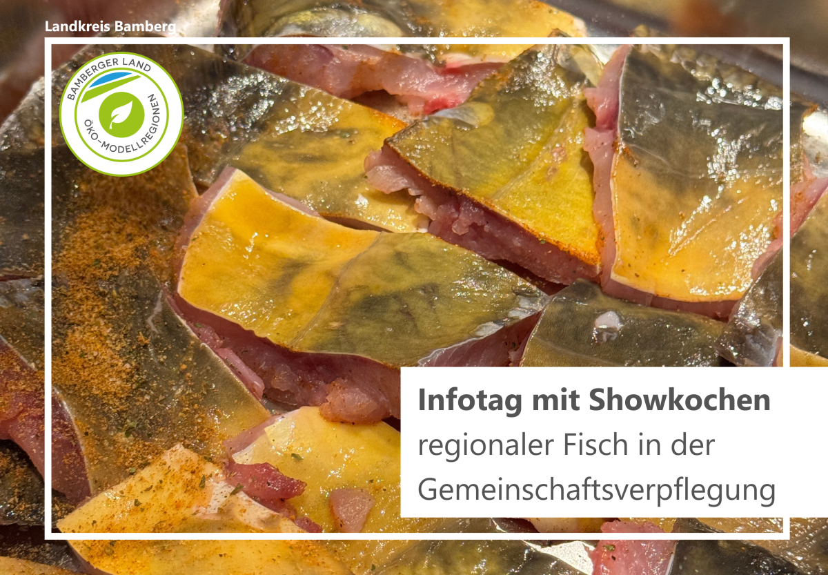 ungegarte Karpfenfilets liegen in der Pfanne