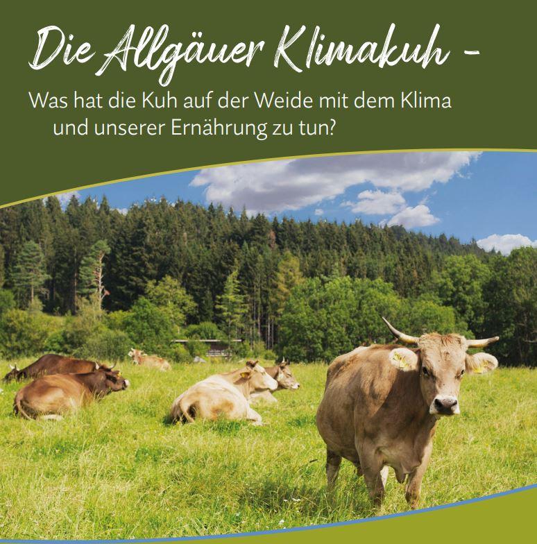 Flyer Allgäuer Klimakuh