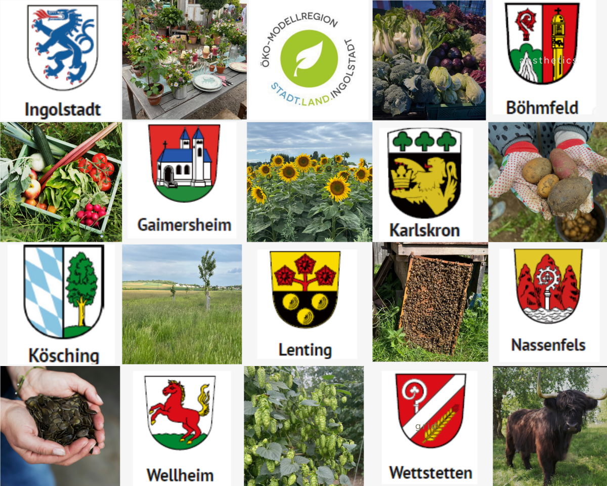 Die Wappen der Mitgliedskommunen und Fotos aus der Region
