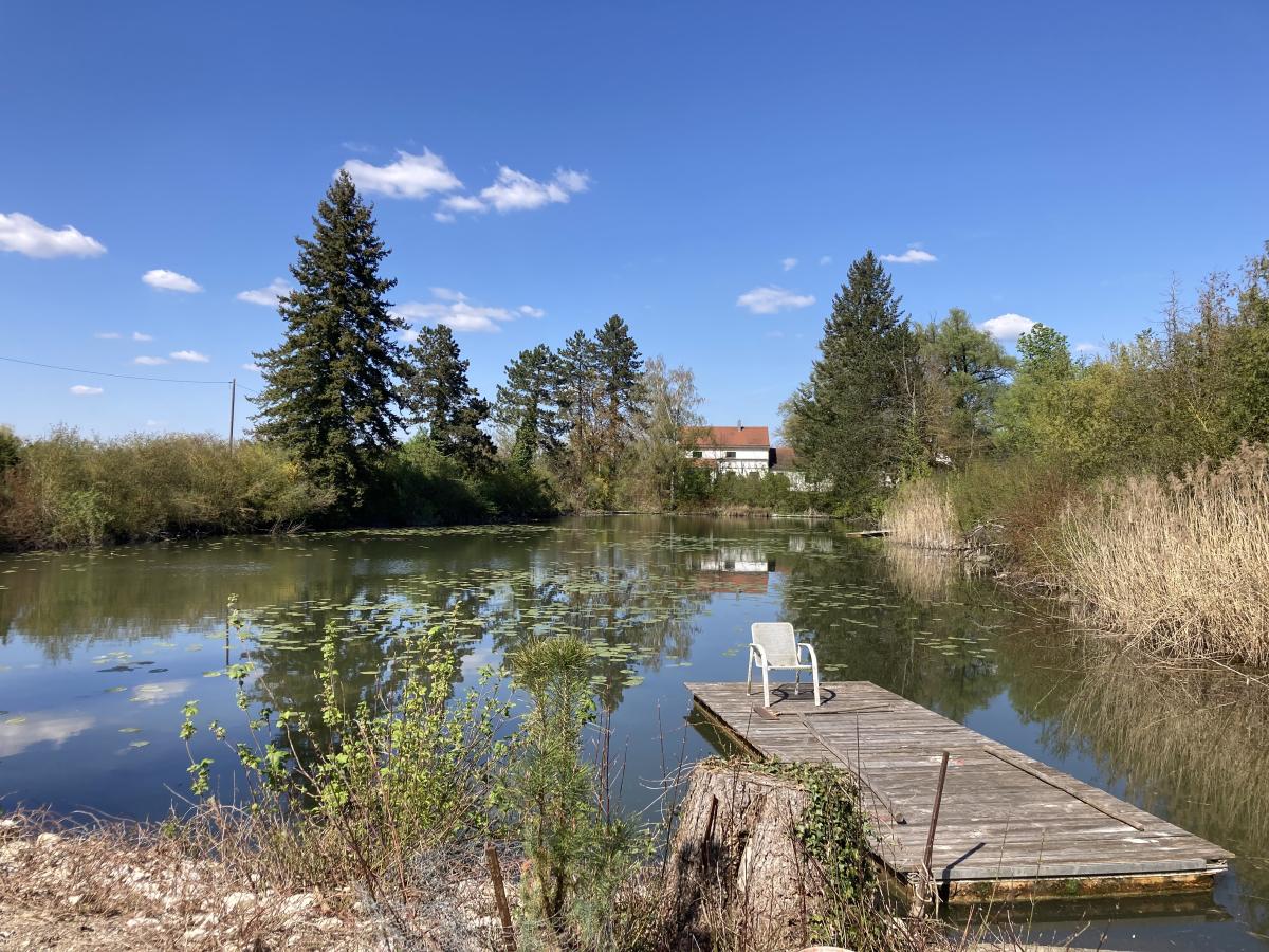 Foto vom Teich beim Biohof Moosmühle, wo man sich nach der Arbeit gut entspannen kann