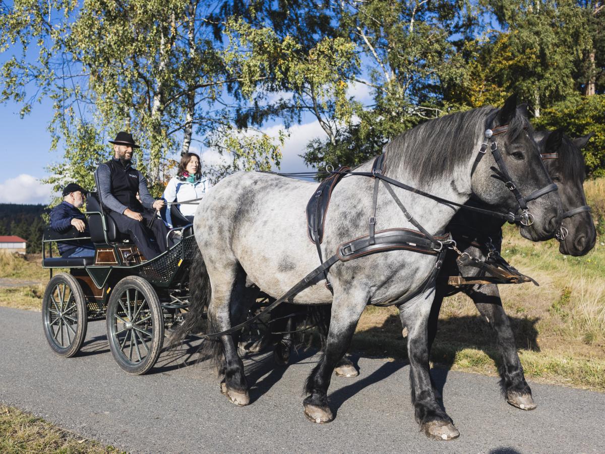 Personen Reiten auf einer Kutsche mit Pferd