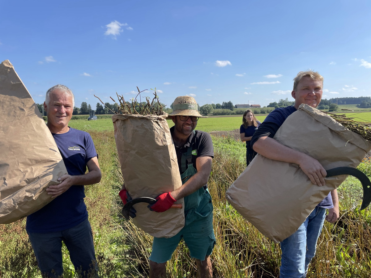 drei Männer auf dem Feld