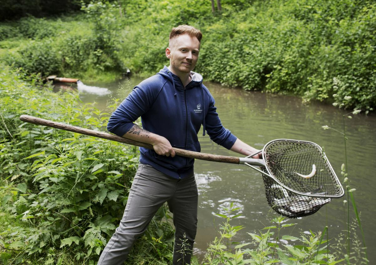 Fische im Kescher