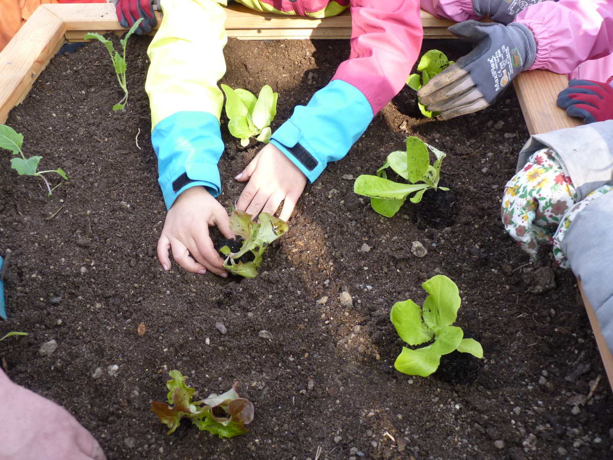 Gartenprojekt April