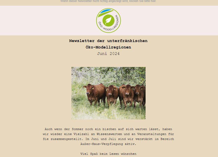 Screenshot vom Newsletter