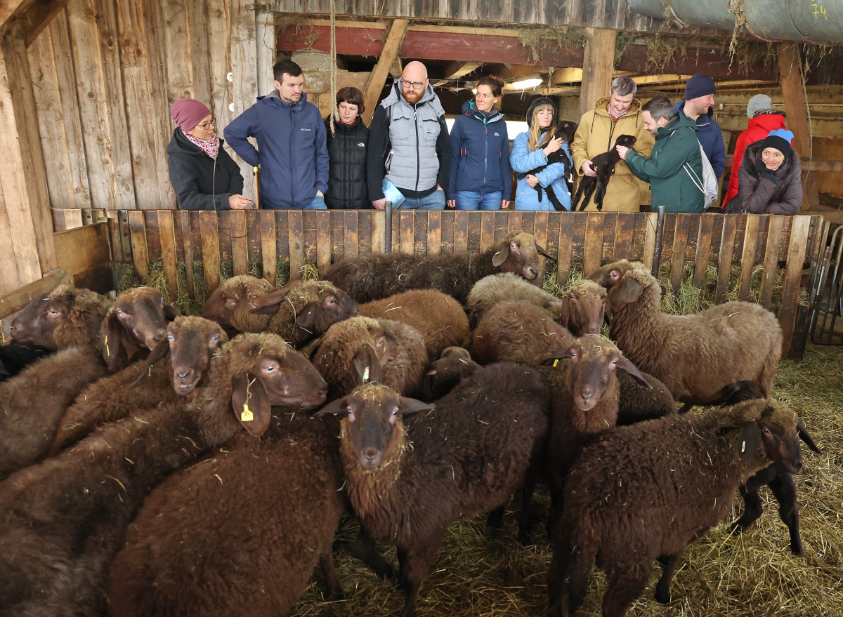 Die Gruppe zu Besuch auf dem Arche-Hof Birk