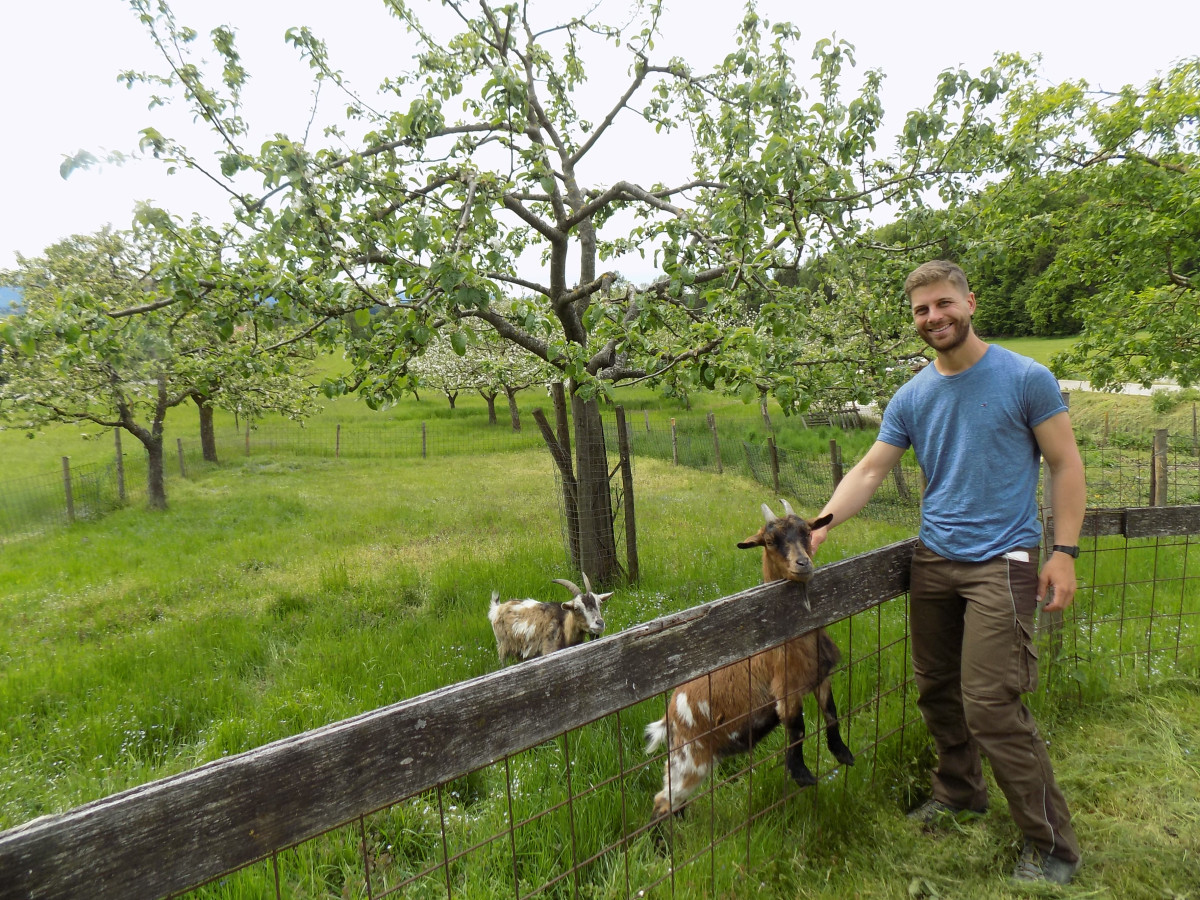 Franz Gramminger vor seiner Obstwiese mit Geißlein