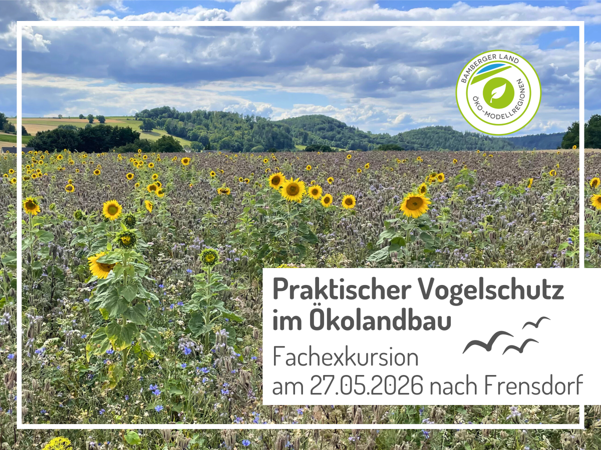 landwirtschaftliche Blühfläche