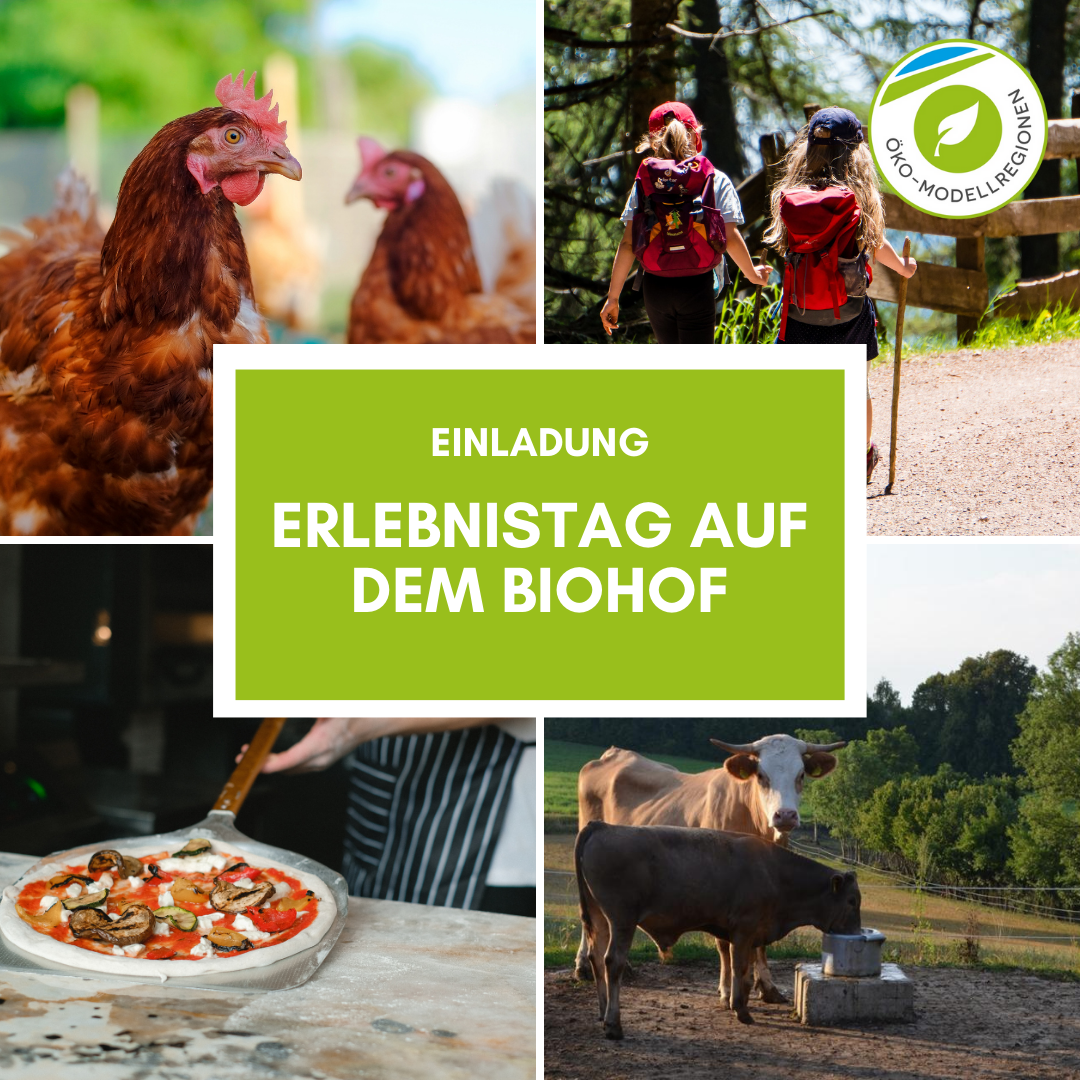 Erlebnistag auf dem Biohof