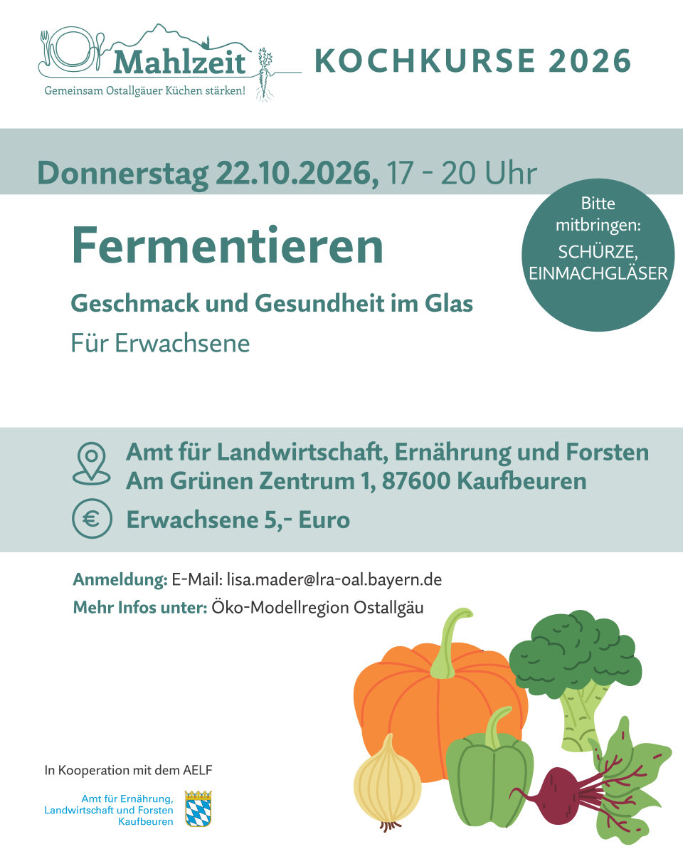 Kochkurs im Rahmen des Projekts Mahlzeit