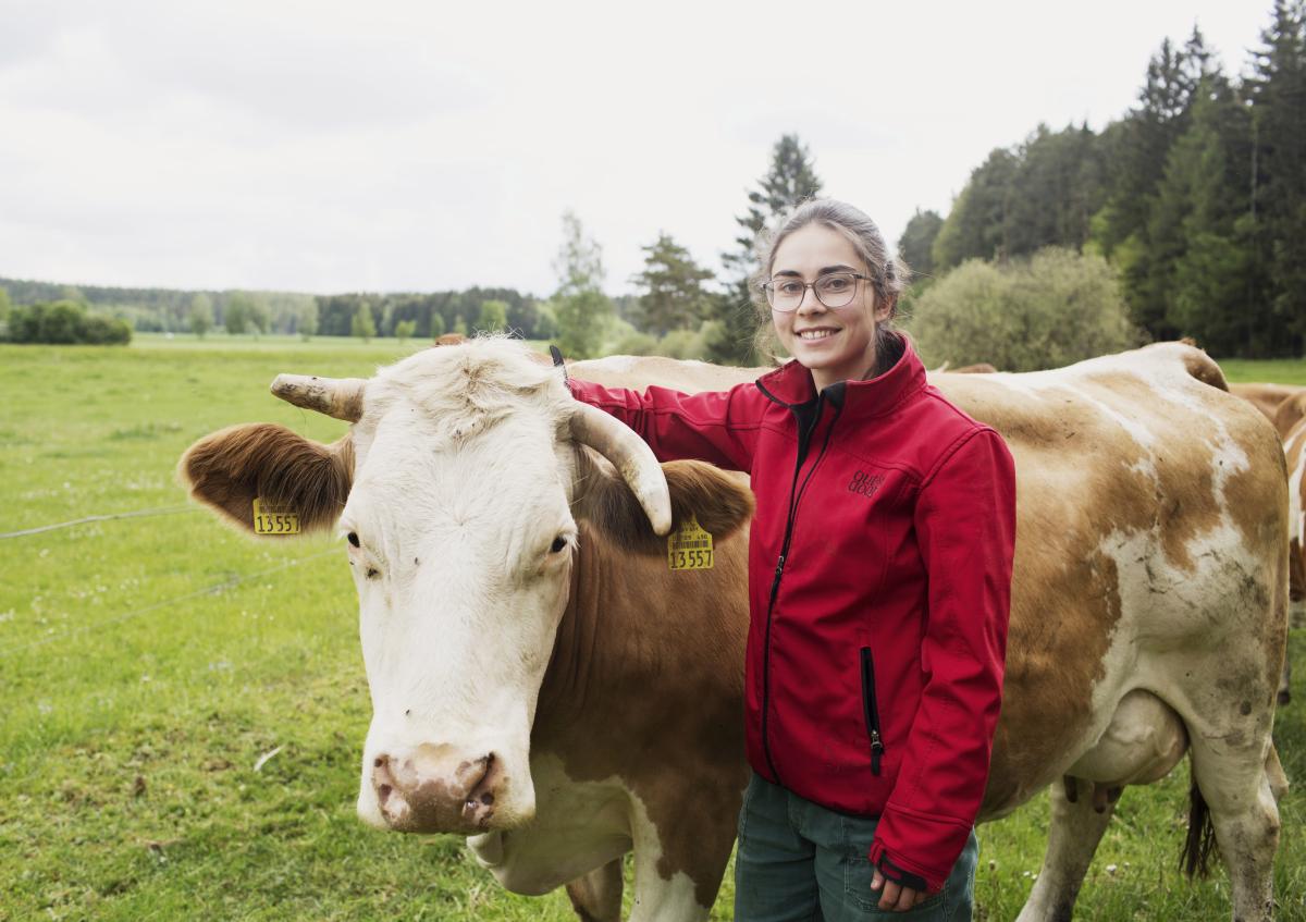 Frau mit Kuh auf der Weide.