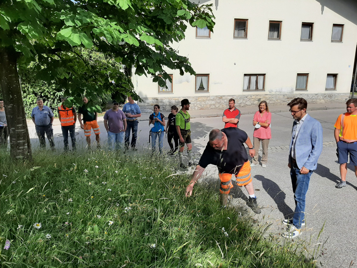 Die Schulungsteilnehmer betrachten die Wiese am Vereinsheim