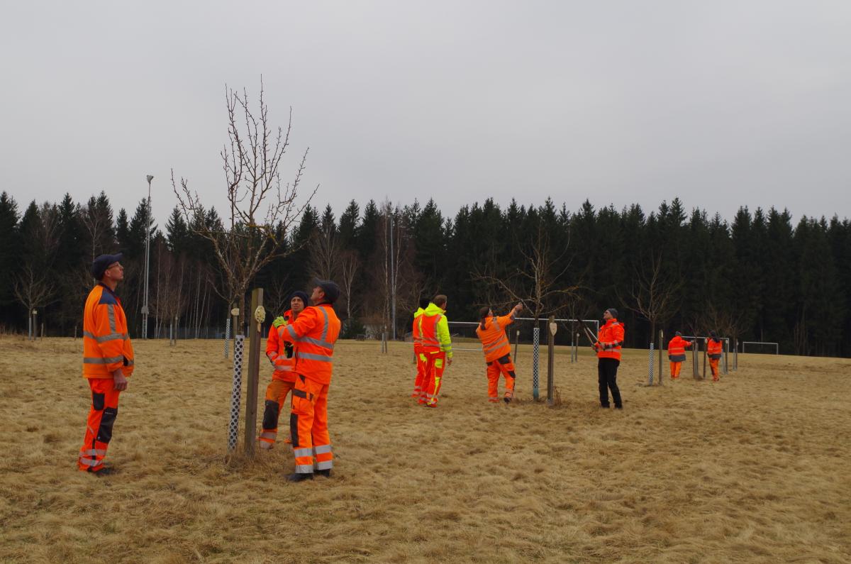 Biodiversität