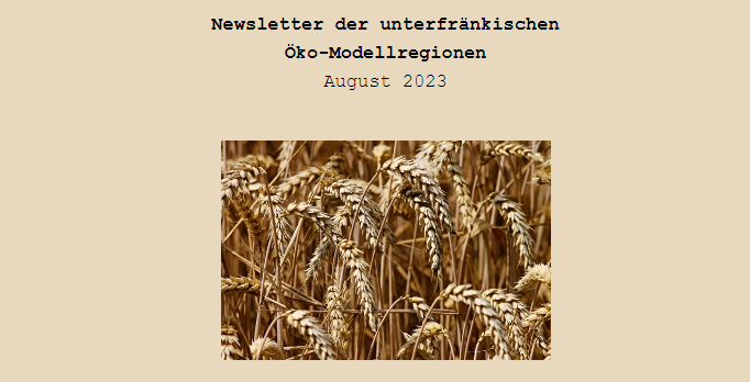 Screenshot eines Newsletterkopfes