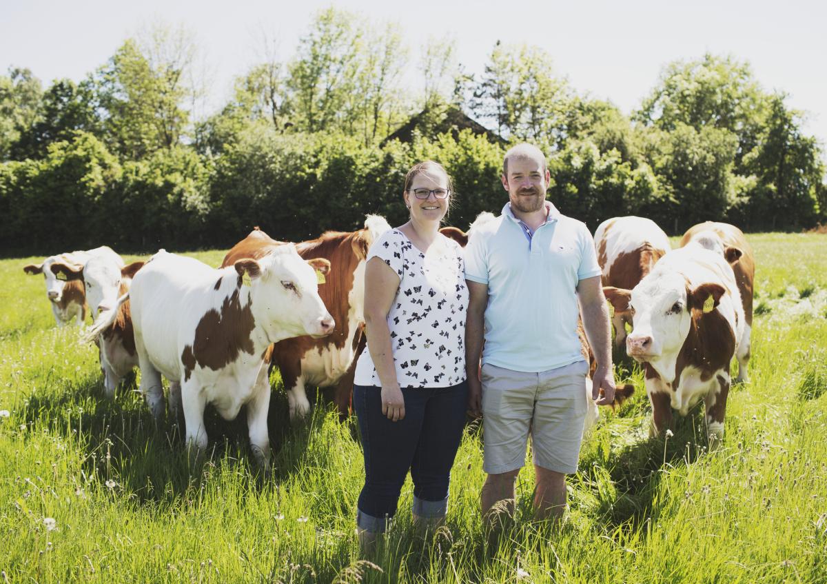 Rinder auf der Weide mit ihren Tierhaltern