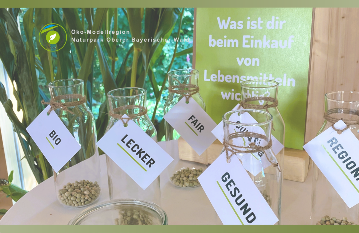 Wertschöpfungskette_ÖA