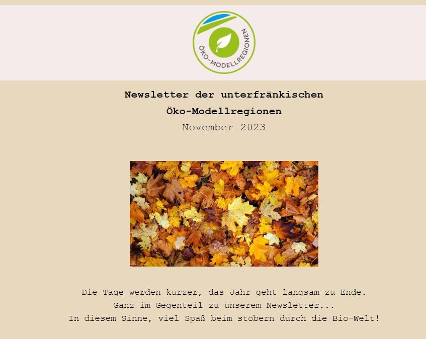 Screenshot des Newsletterkopfes November 2023