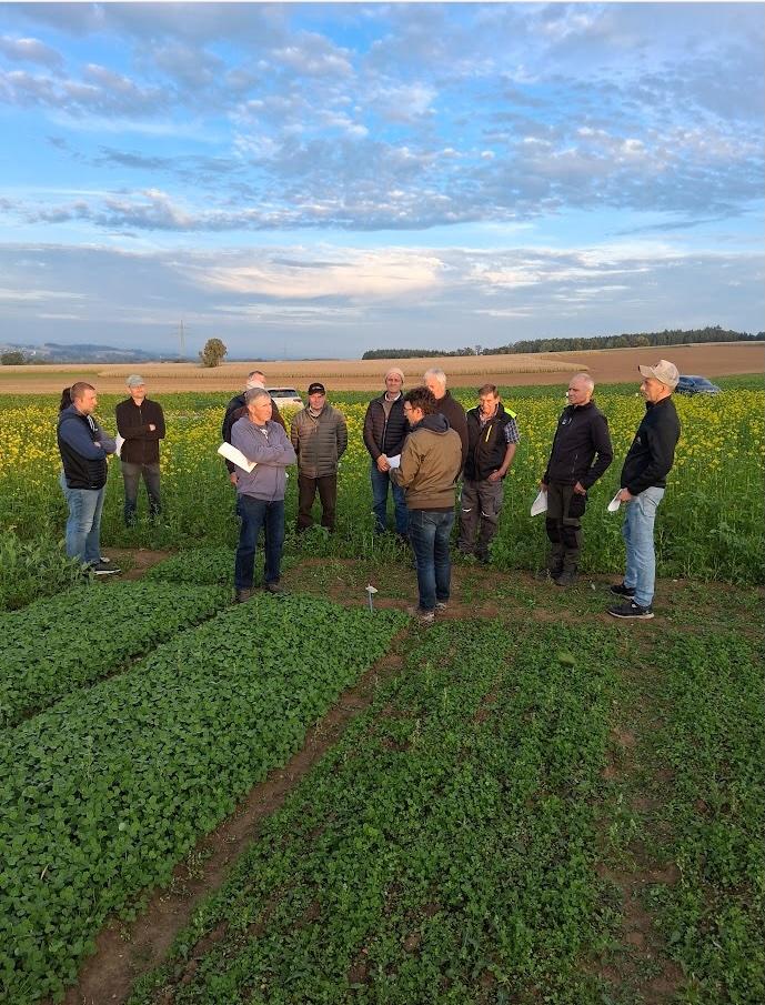 Gruppe Menschen steht im Feld
