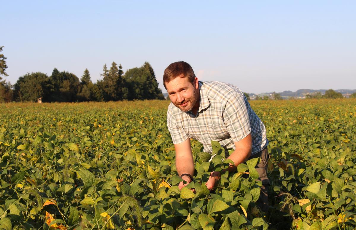 Landwirt Andreas Maier baut in der Nähe von Tittmoning Sojapflanzen an. Aus den Sojabohnen erstellt der Laufener in Eigenpressung Bioöl her.