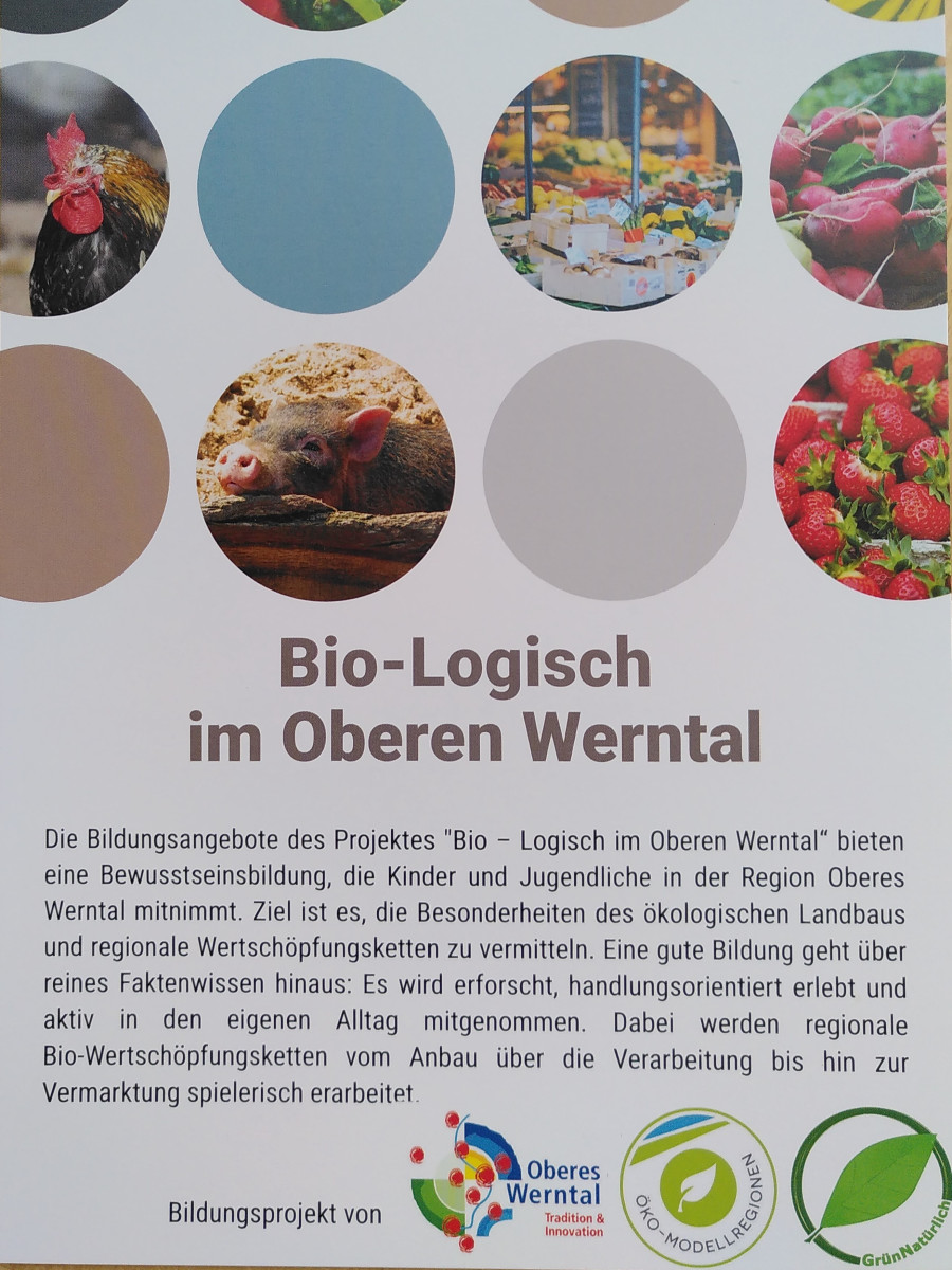Flyer "Bio-Logisch im Oberen Werntal"