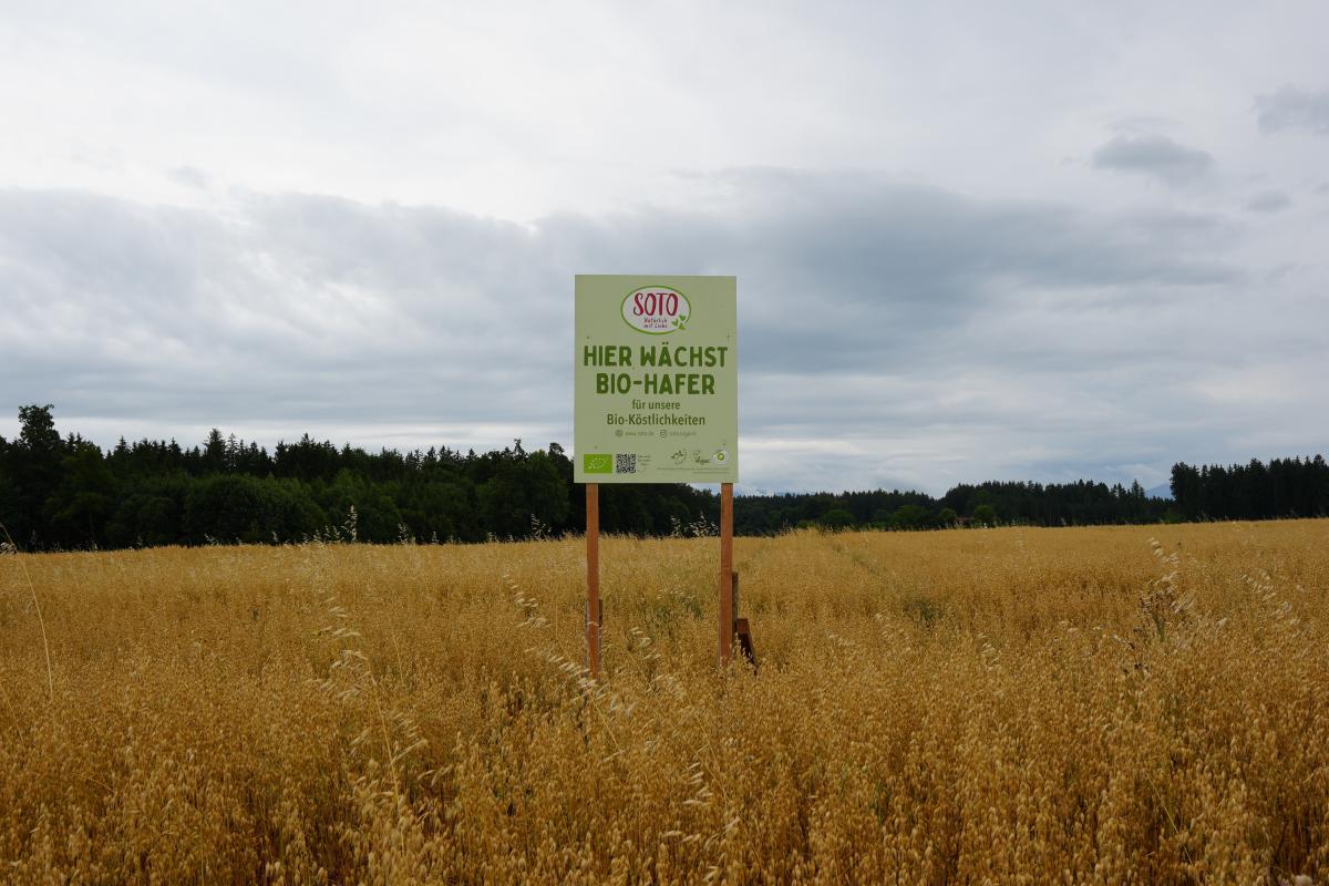 Bio-Haferfeld
