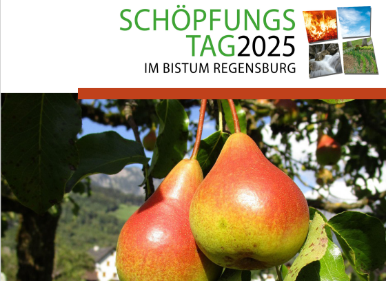 Schöpfungstag 2025