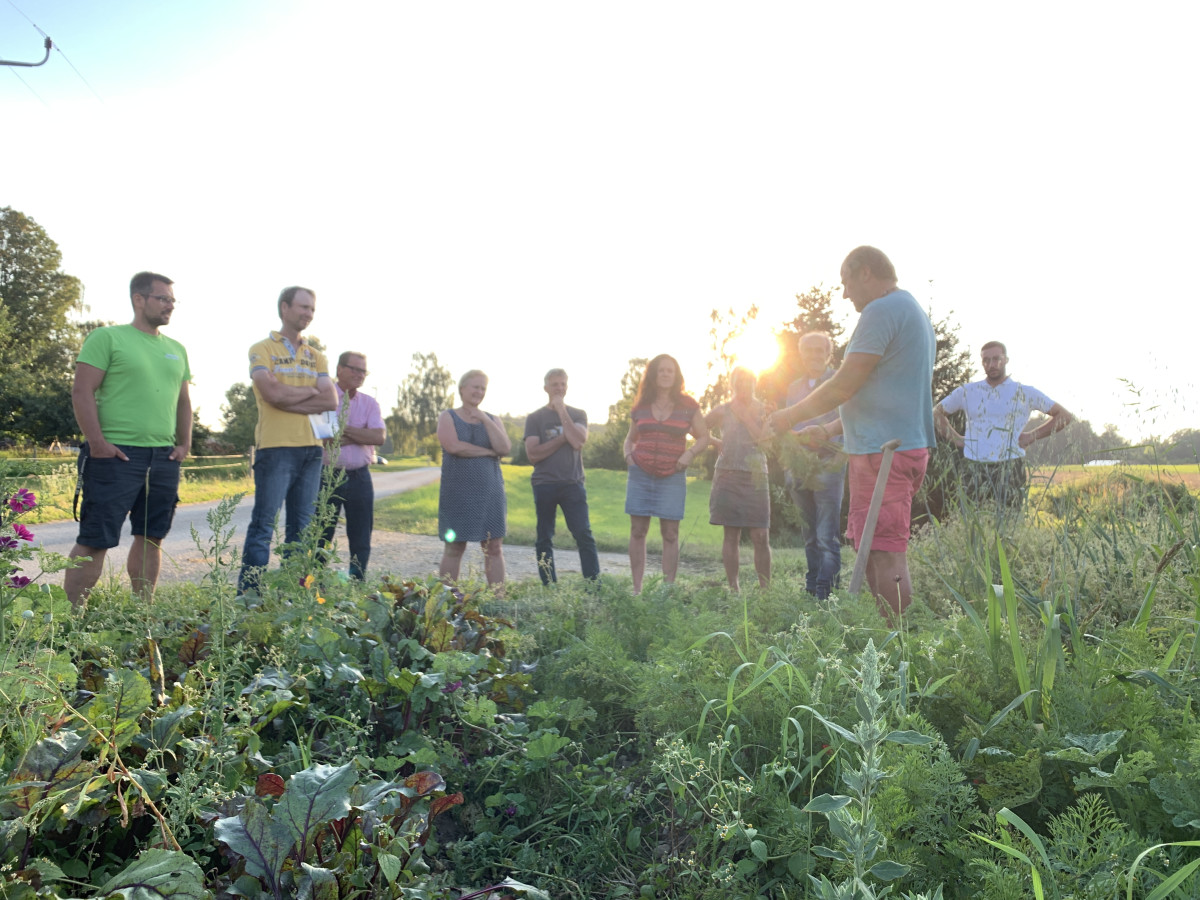 Interessierte Landwirte und Landwirtinnen versammelten sich bei Hans Glück in Tittmoning am Feld um sich über den ökologischen Karottenanbau zu informieren