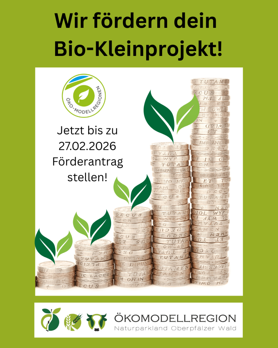 Aufruf Öko-Verfügungsrahmen 2026 ÖMR NOW