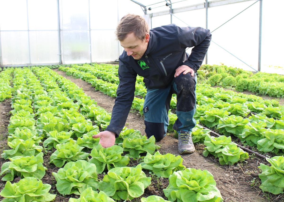 Mehr Bio mit Zertifikat in der AHV! Markus Hager baut Bio-Gemüse an und beliefert damit eine Großküche.