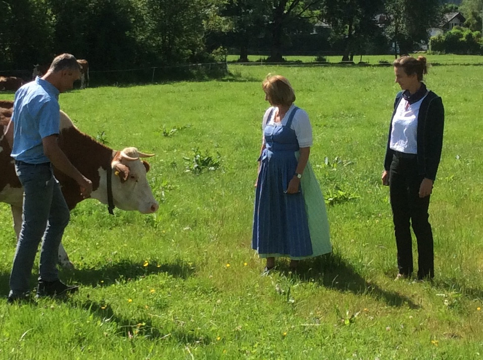 "Miesbacher Weg" am Beispiel in Kreuth