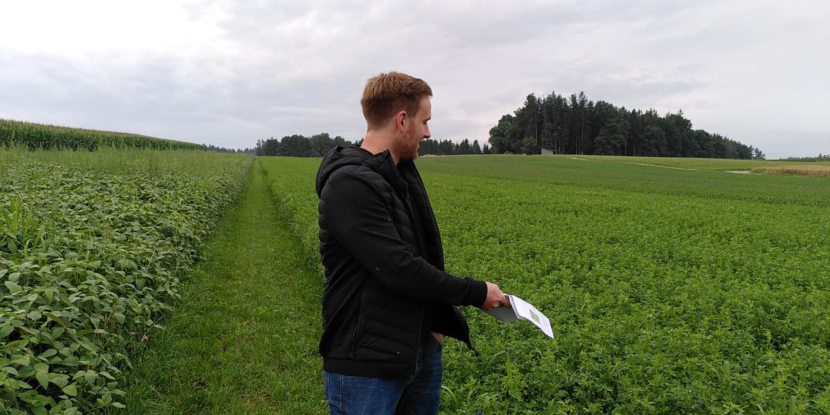 Sebastian Mayer beim Erläutern seines Feldversuchs