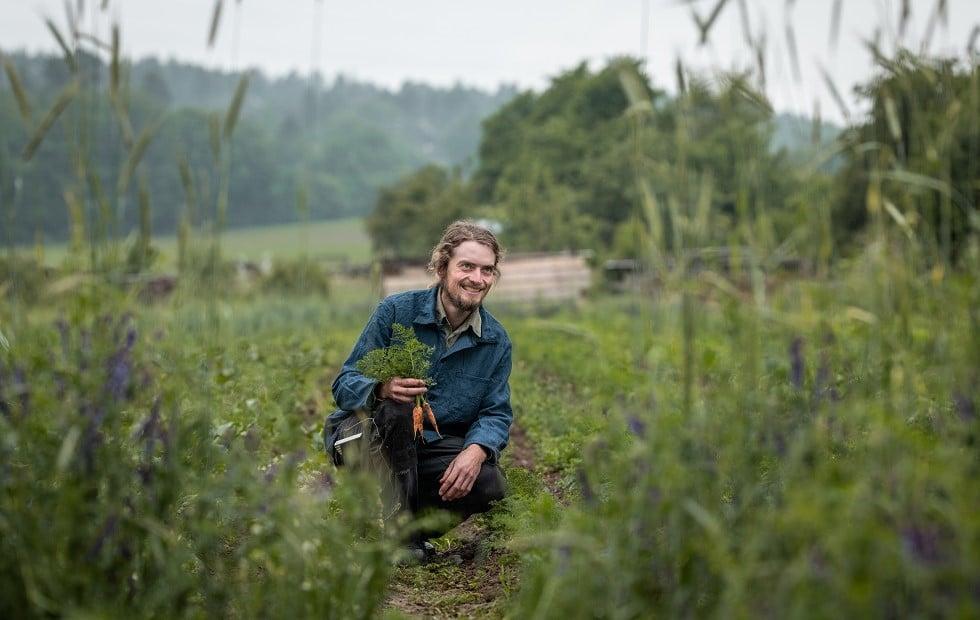 Junger Landwirt auf Feld mit Karotten